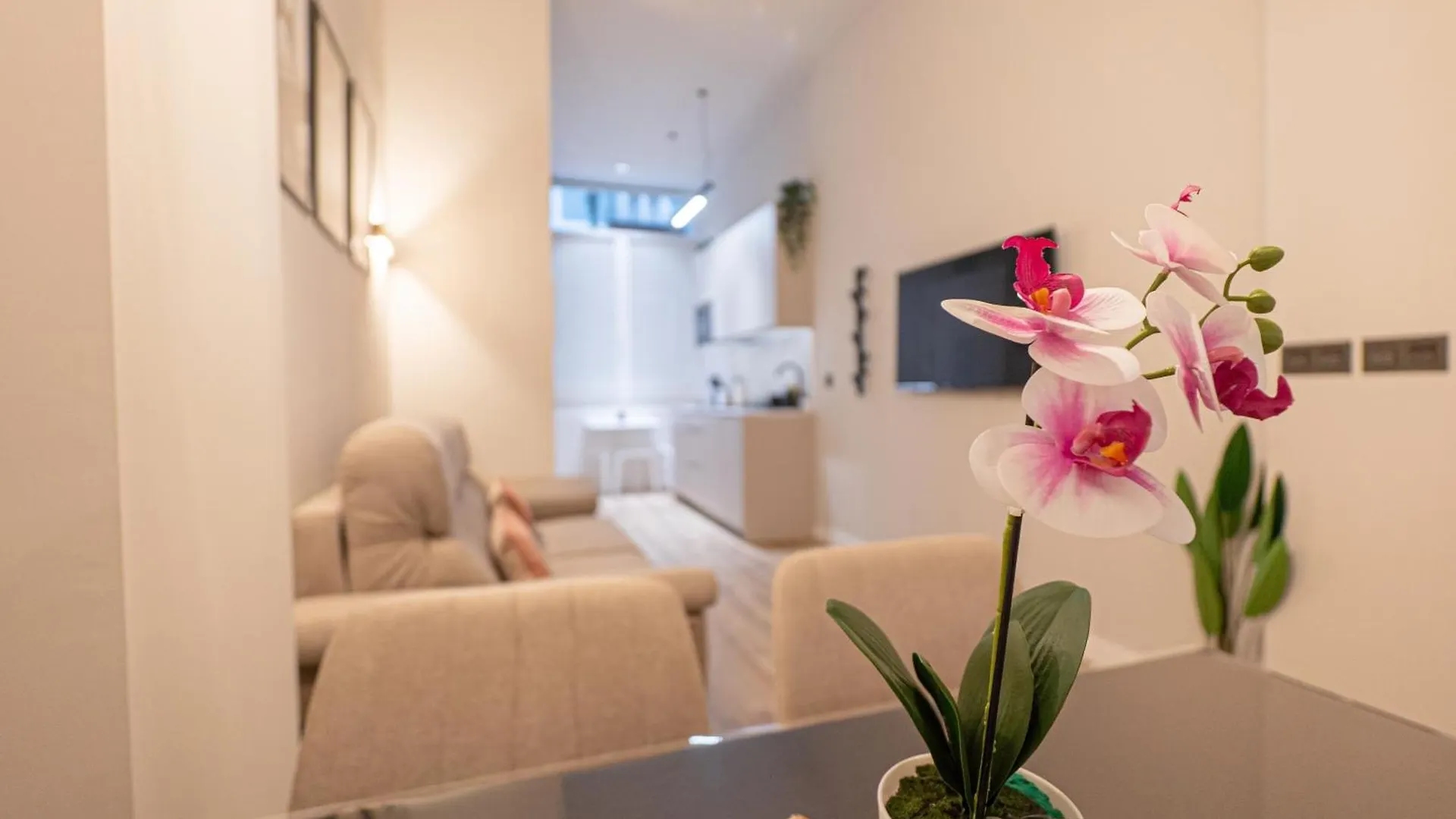 Bilbao Loft Apartments 0*,